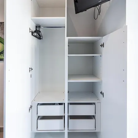 Raise Avocado سالونيك